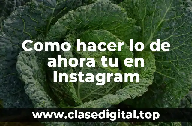 Qué es y para qué sirve hacer lo de ahora tu en Instagram
