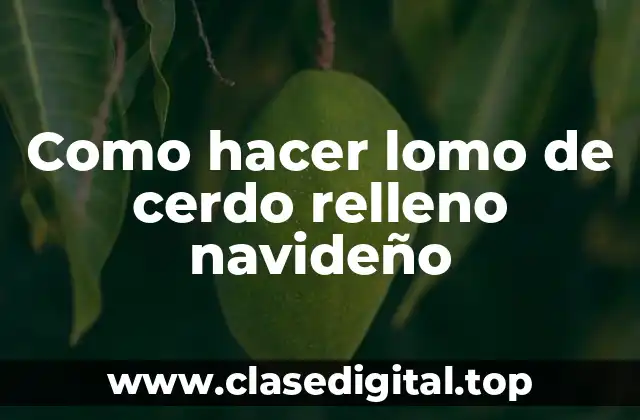 Como hacer lomo de cerdo relleno navideño