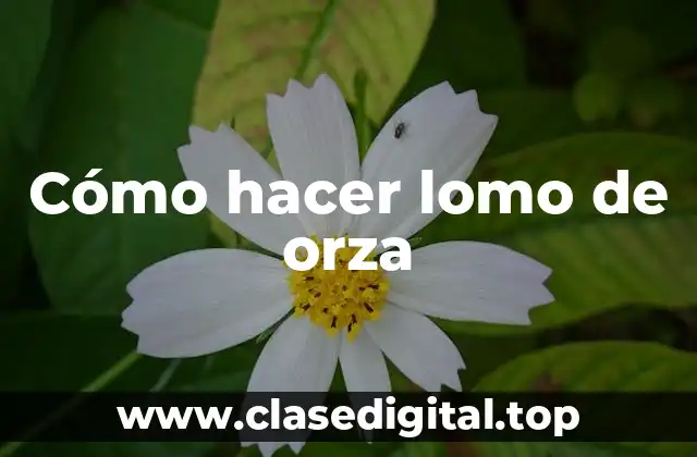 Cómo hacer lomo de orza
