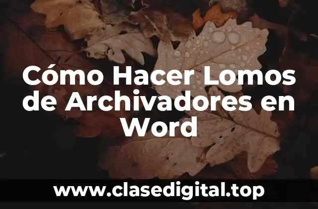 ¿Qué son los Lomos de Archivadores en Word?