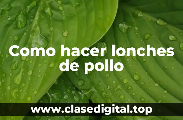 ¿Qué son los lonches de pollo y para qué sirven?