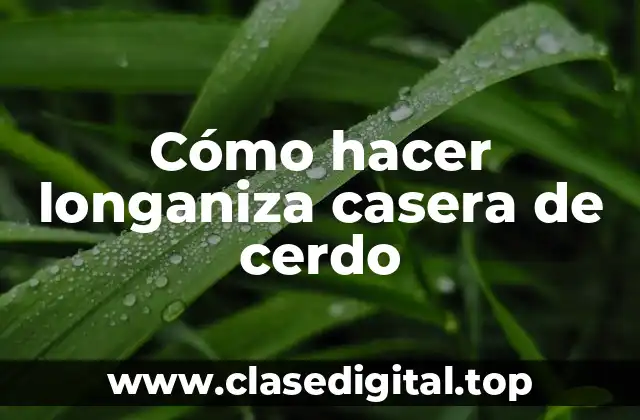 Cómo hacer longaniza casera de cerdo