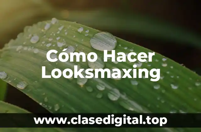 Qué es Looksmaxing y Para Qué Sirve