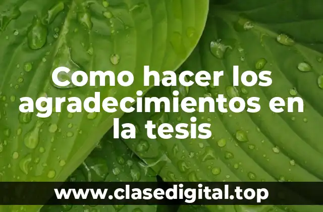 Agradecimientos en la tesis