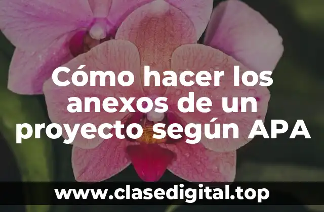 Cómo hacer los anexos de un proyecto según APA