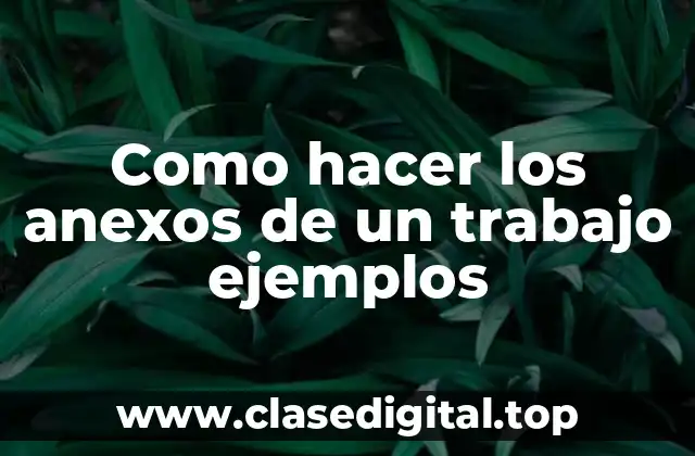 Anexos de un trabajo