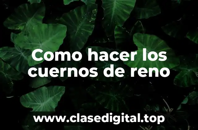 Los cuernos de reno: qué son y para qué sirven