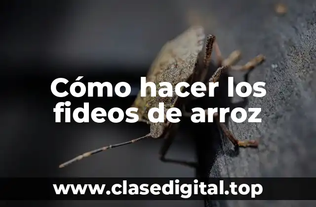 Cómo hacer los fideos de arroz