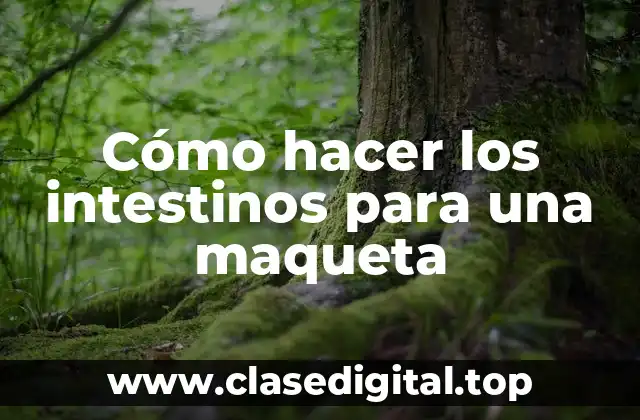 Cómo hacer los intestinos para una maqueta