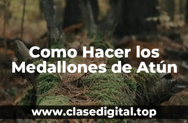 Como Hacer los Medallones de Atún