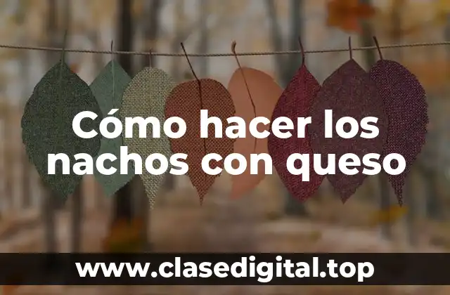 ¿Qué son los nachos con queso?