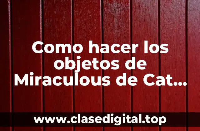 Los objetos de Miraculous de Cat Noir