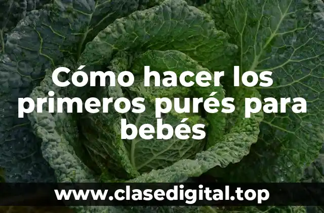 ¿Qué son los purés para bebés y para qué sirven?