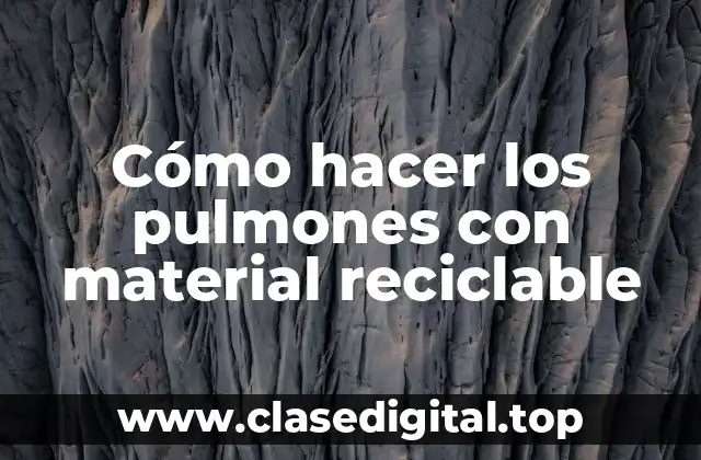 Cómo hacer los pulmones con material reciclable