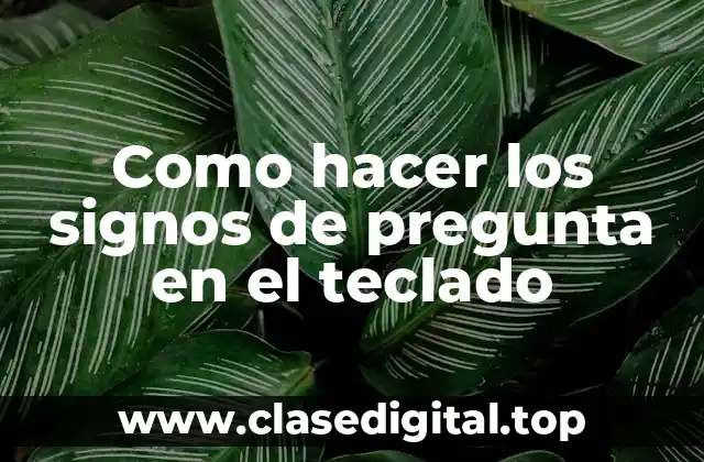 ¿Qué son los signos de pregunta y para qué se utilizan?