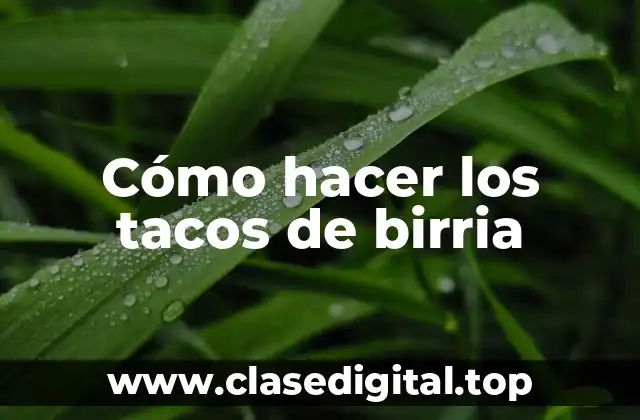 ¿Qué son los tacos de birria?