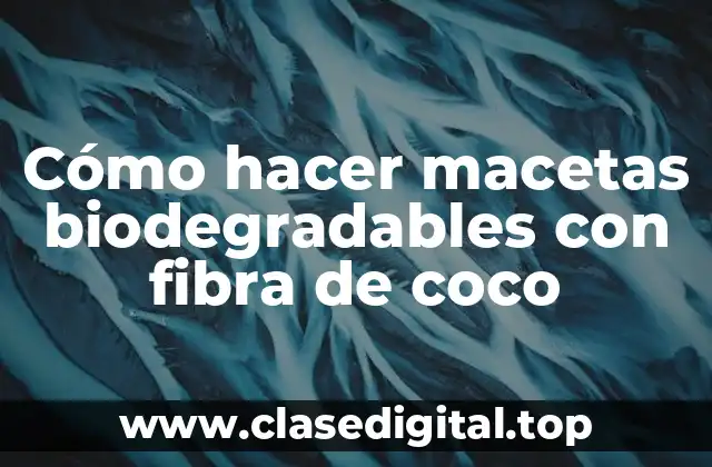 Cómo hacer macetas biodegradables con fibra de coco