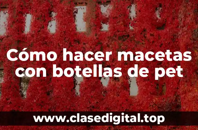 Cómo hacer macetas con botellas de pet