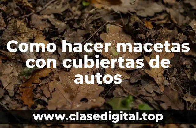 Como hacer macetas con cubiertas de autos