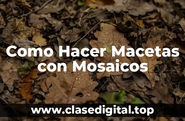 Como Hacer Macetas con Mosaicos