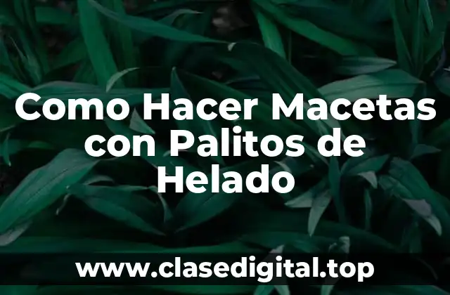 Como Hacer Macetas con Palitos de Helado