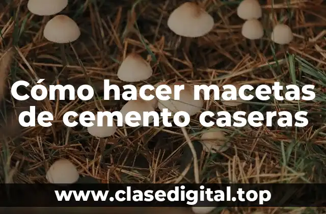 Cómo hacer macetas de cemento caseras