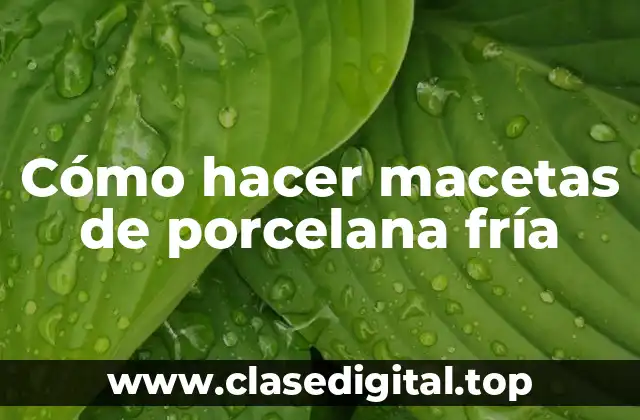 Cómo hacer macetas de porcelana fría