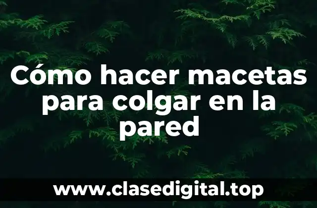Cómo hacer macetas para colgar en la pared