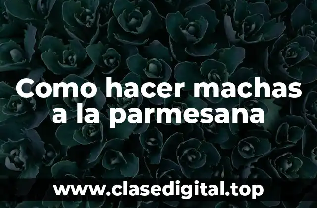 Como hacer machas a la parmesana