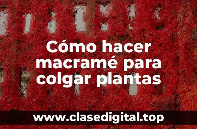 Cómo hacer macramé para colgar plantas