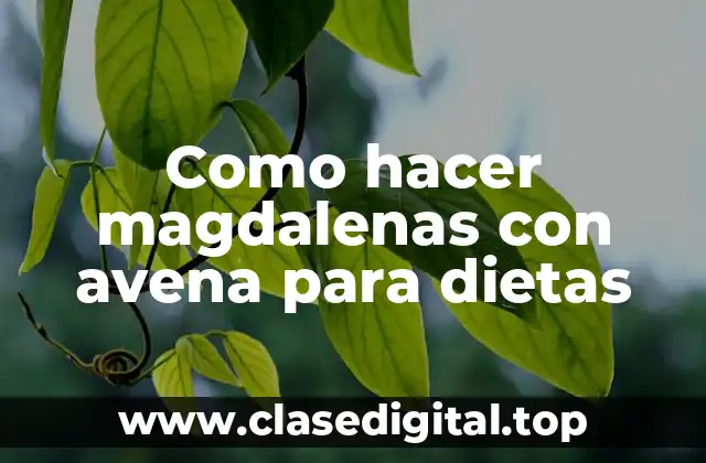 Como hacer magdalenas con avena para dietas