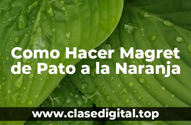 Como Hacer Magret de Pato a la Naranja