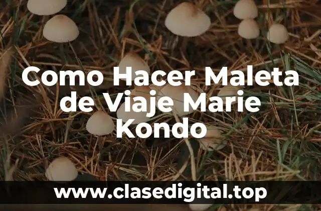 Como Hacer Maleta de Viaje Marie Kondo