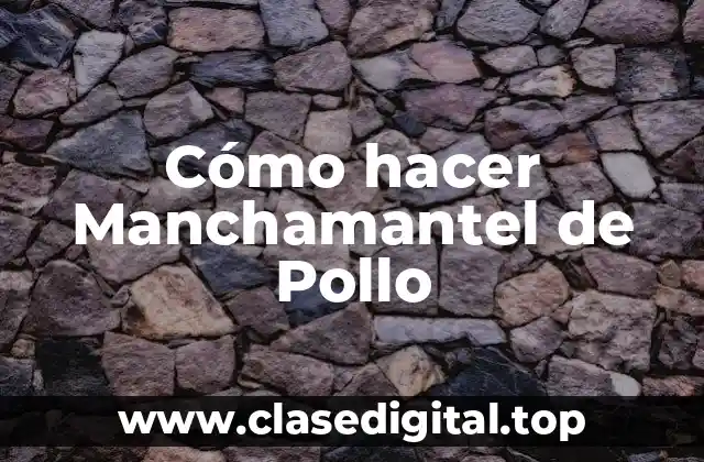 Cómo hacer Manchamantel de Pollo