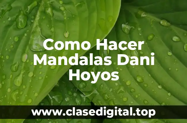 Como Hacer Mandalas Dani Hoyos