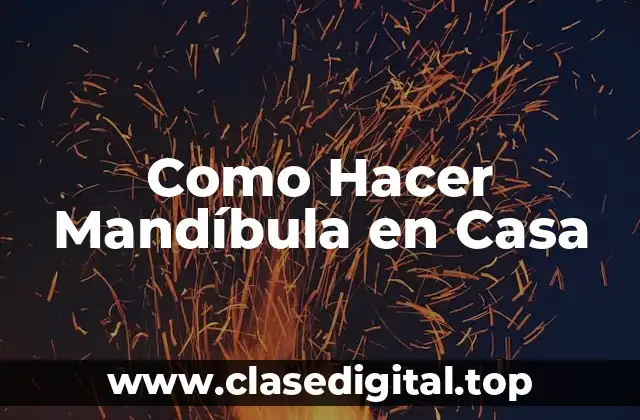 ¿Qué es una Mandíbula y para qué Sirve?