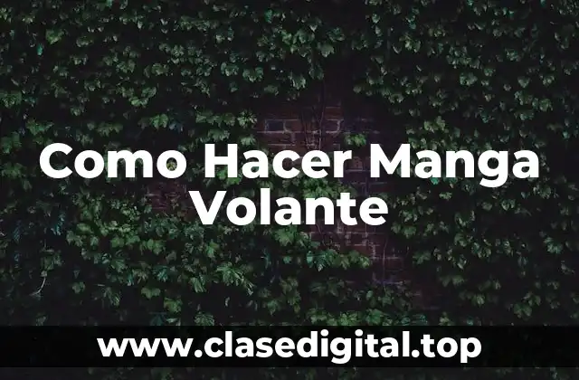 Como Hacer Manga Volante