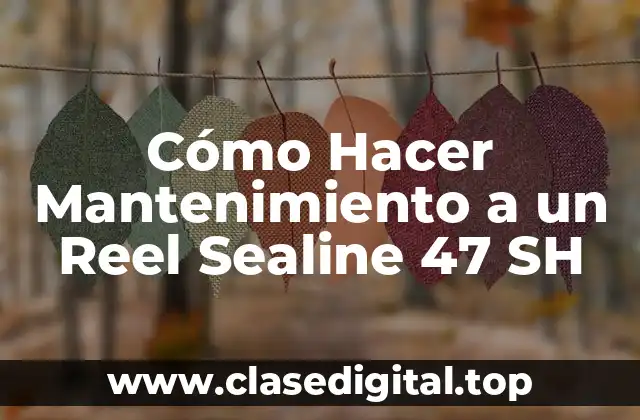 Cómo Hacer Mantenimiento a un Reel Sealine 47 SH