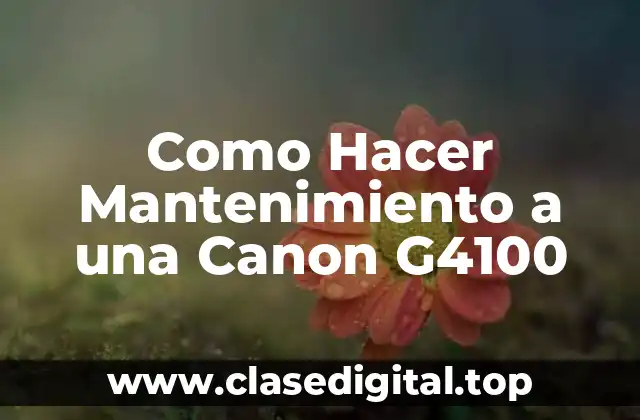 Como Hacer Mantenimiento a una Canon G4100