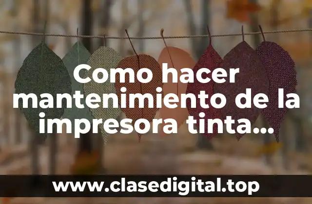 Como hacer mantenimiento de la impresora tinta continua Epson L565