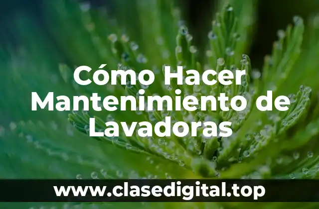 Cómo Hacer Mantenimiento de Lavadoras
