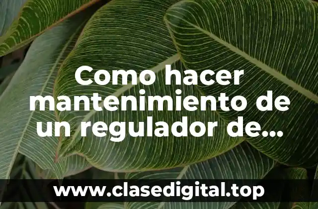 ¿Qué es un regulador de presión de gas natural y para qué sirve?