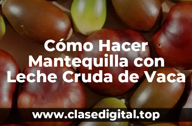Cómo Hacer Mantequilla con Leche Cruda de Vaca