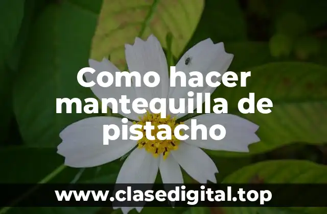 Como hacer mantequilla de pistacho
