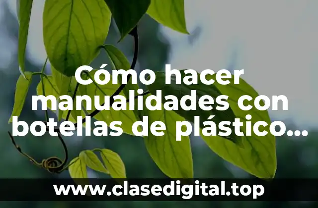 Cómo hacer manualidades con botellas de plástico recicladas