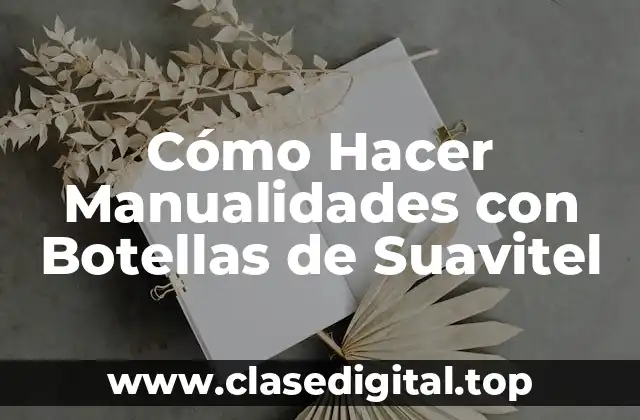 Cómo Hacer Manualidades con Botellas de Suavitel