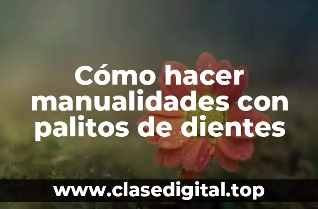 Cómo hacer manualidades con palitos de dientes