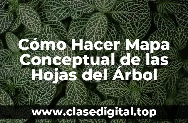 Cómo Hacer Mapa Conceptual de las Hojas del Árbol
