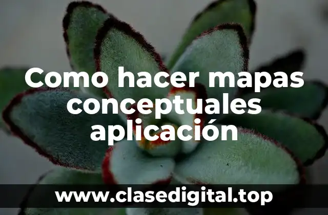 ¿Qué es un mapa conceptual en aplicación?