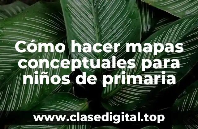 Cómo hacer mapas conceptuales para niños de primaria